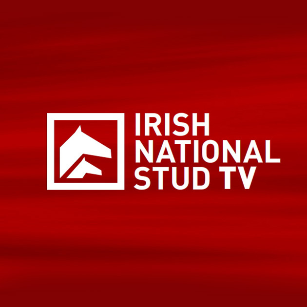 Irish National Stud Image